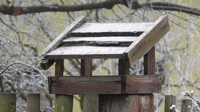 Clever baffle installed above hanging feeder