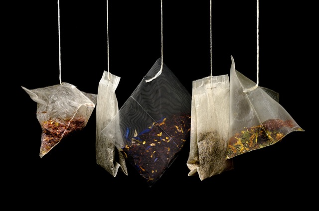 Squirrel-Proof Bird Feeders Manchester: Save Money, Enjoy Effortless Feeding