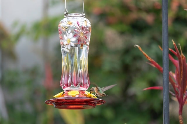 Metal mesh bird feeder with small birds