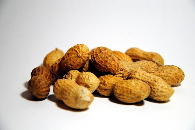 Bulk Peanuts for Birds Bradford: Save Big with Free Shipping!