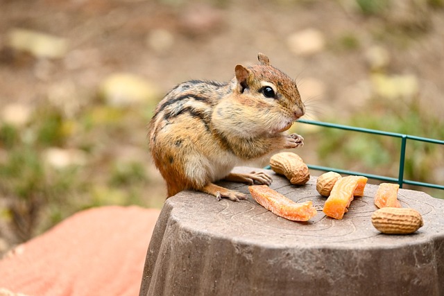 peanuts