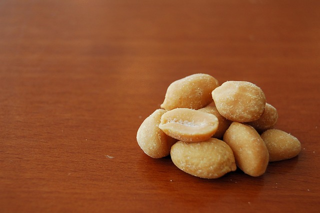London’s Top Pick: Boost Your Birds’ Health with Calcium-Enriched Peanut Treats