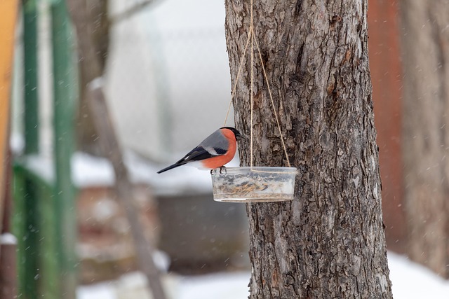 Sturdy bird feeder with anti-squirrel design