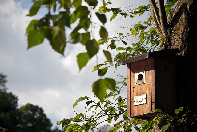 Sturdy bird feeder with anti-squirrel design