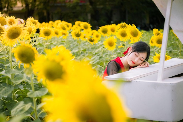 sunflower
