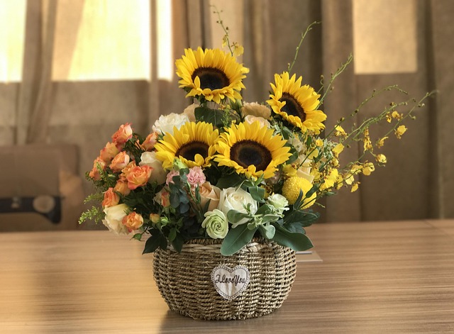 sunflower