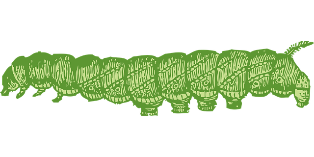 worms