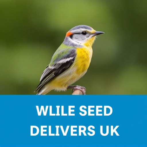 Best Wild Bird Seed Delivered UK