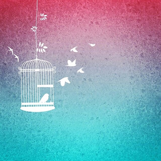 Birds feeding inside squirrel-proof cage