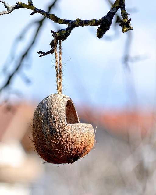 Birds feeding inside squirrel-proof cage