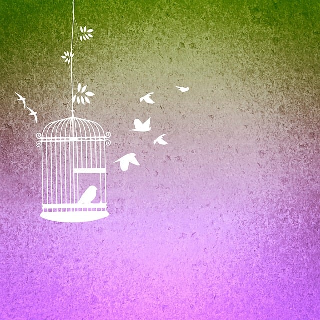 Birds feeding inside squirrel-proof cage