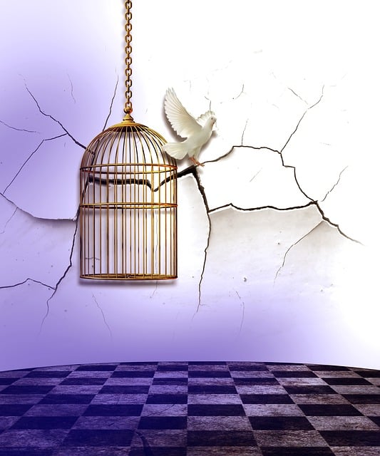Birds feeding inside squirrel-proof cage