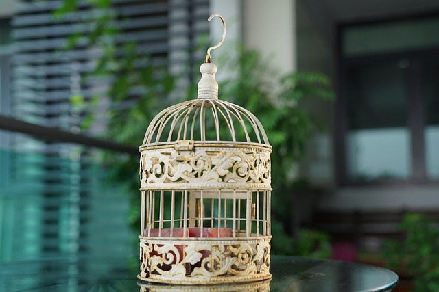 Birds feeding inside squirrel-proof cage