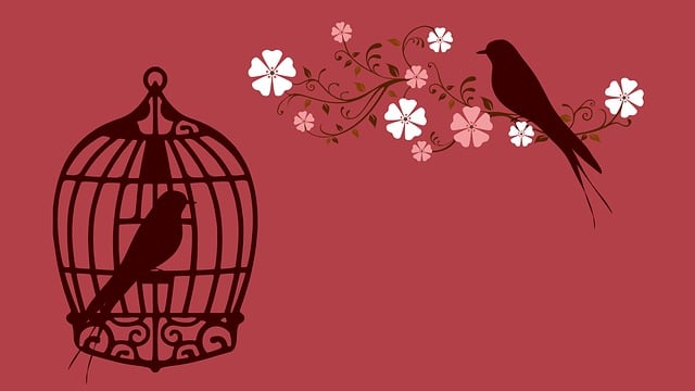 birds-feeding-inside-squirrel-proof-cage-640x480-90590577.jpeg