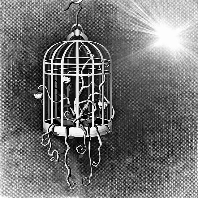 Birds feeding inside squirrel-proof cage
