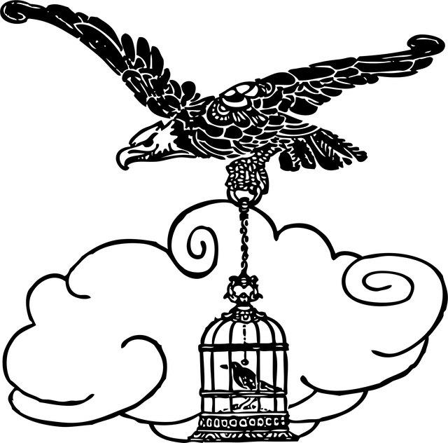 caged-feeder-protecting-seed-from-squirr-640x480-24384126.png