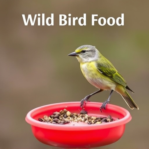 Checkout page for wild bird food