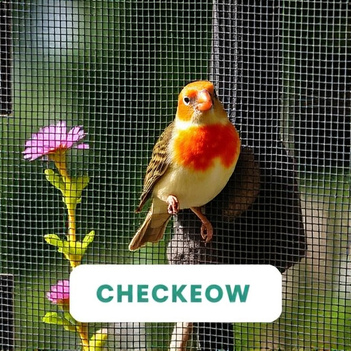 Checkout screen for garden bird supplies