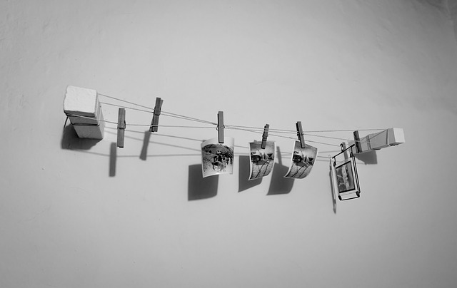 Clever baffle installed above hanging feeder