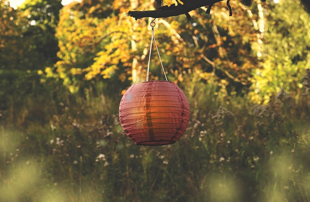 Hanging squirrel-proof peanut feeder outdoors