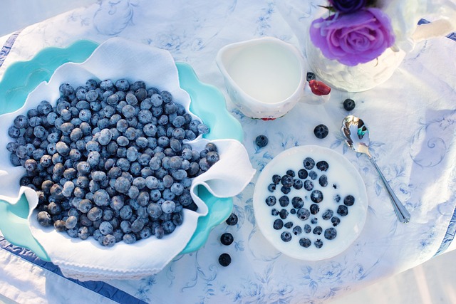 Summertime Bird Feeding: Top Protein Sources & DIY Feeders