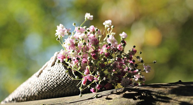 Bulk Buy Wild Bird Food UK: Top Deals & Tips