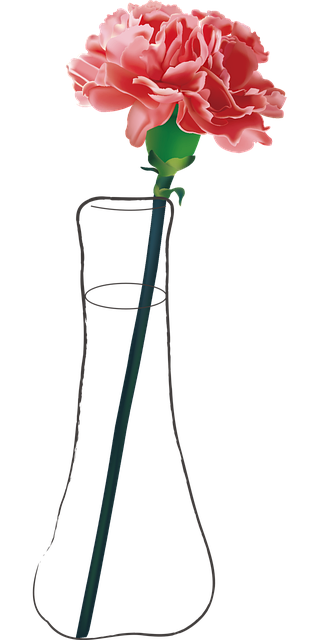 Guide to Setting Up a UK Ground Bird Feeder