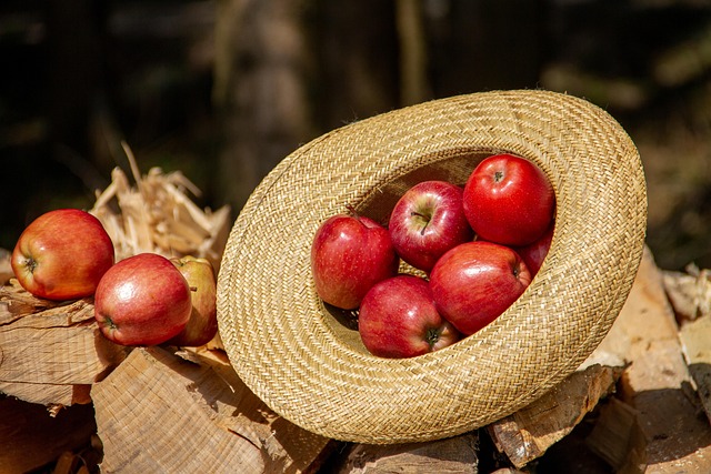 Best Peanuts for Year-Round Bird Feeding: Buy Online Guide