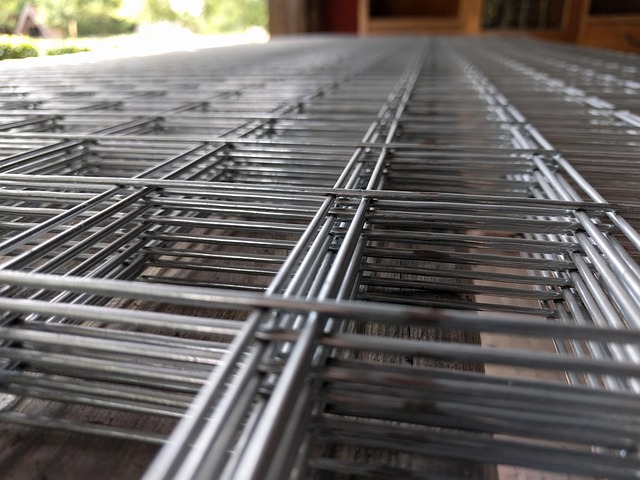 Caged Mealworm Feeder: Setting Up for Healthy Bird Meals