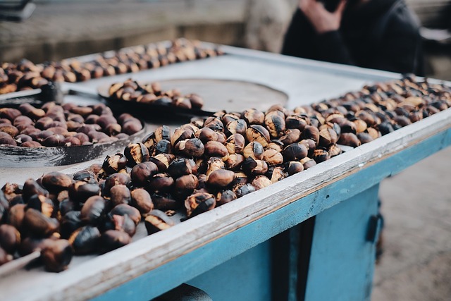 London’s Best Organic Sunflower Seeds: Premium Peanuts for Healthy Birds – 20% Off!