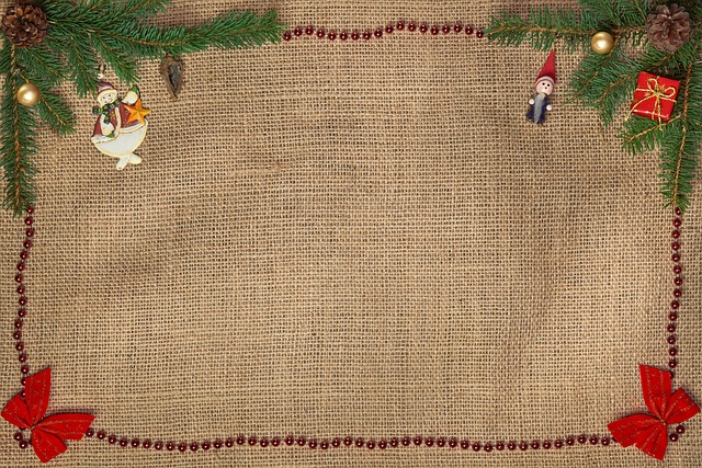 Shovel scooping bird seed from sack