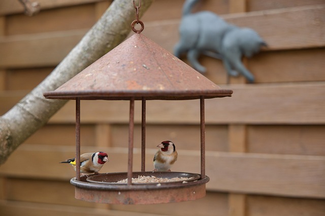 Sturdy bird feeder with anti-squirrel design