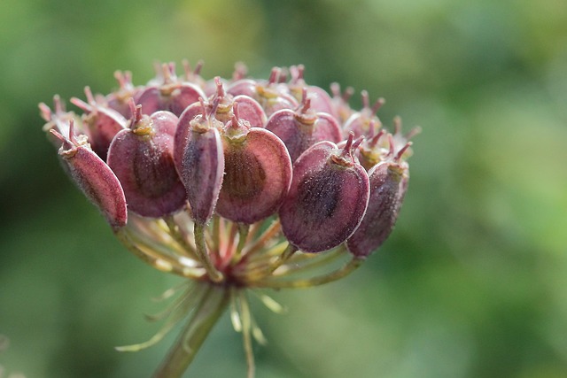 Wild bird seed in clear bulk packaging