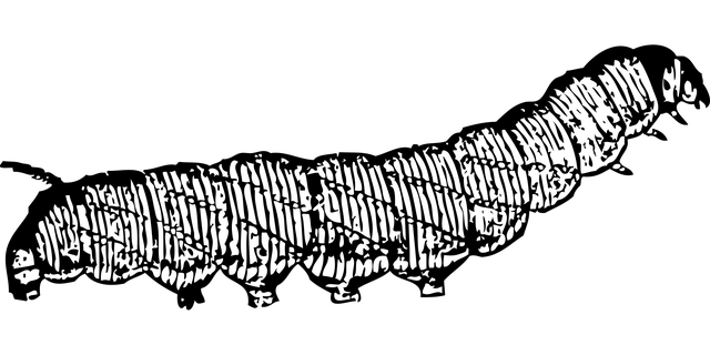 worms-640x480-40916997.png