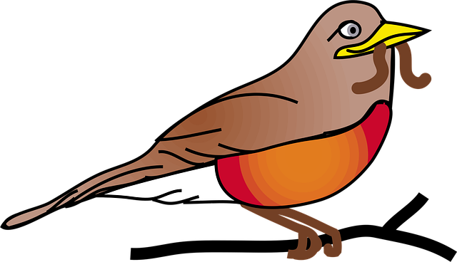worms-640x480-4480064.png