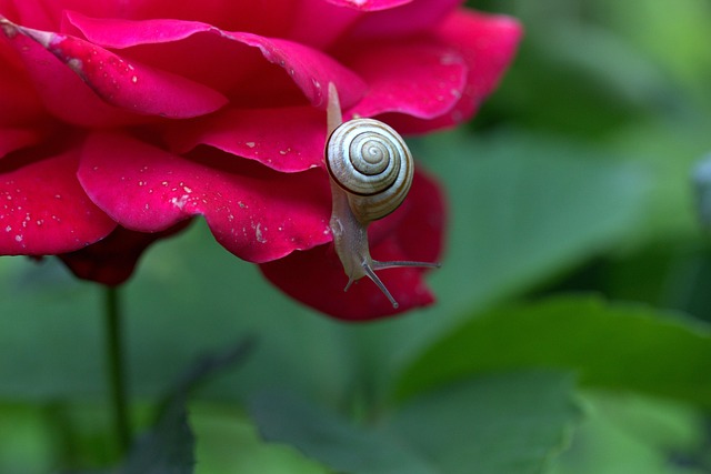 worms-640x480-66397756.jpeg