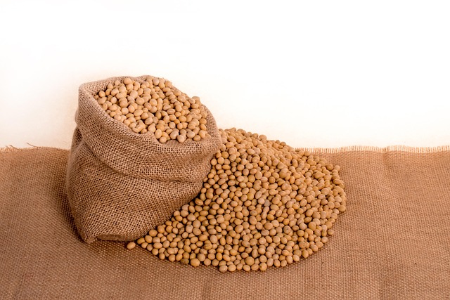 Assorted seeds spilling from bag outdoors