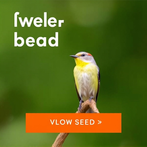 best-wild-bird-seed-delivered-uk-640x480-68821154.jpeg