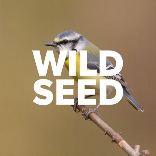 best-wild-bird-seed-delivered-uk-640x480-75085717.jpeg