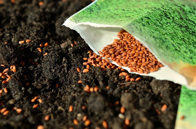 Bird Seed Delivered