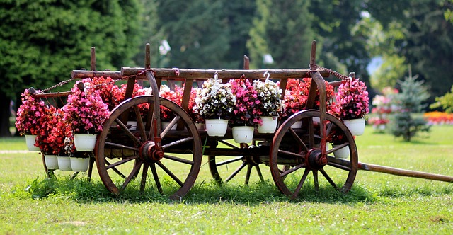 Checkout cart filled with bird