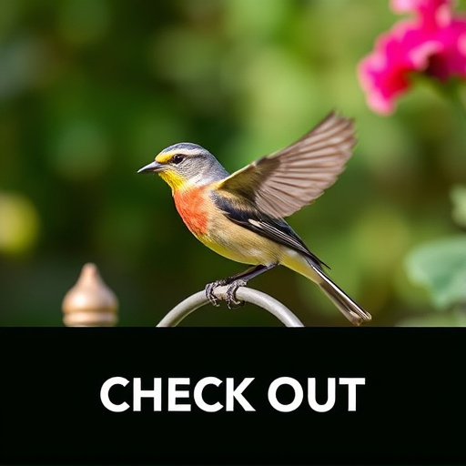 Checkout screen for garden bird supplies