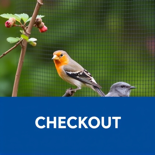 Checkout screen for garden bird supplies