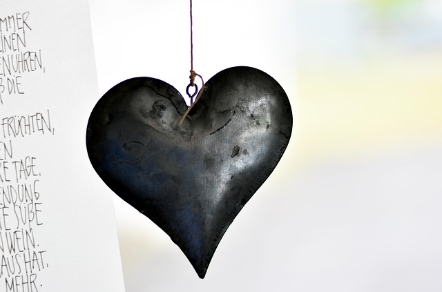 clean-sunflower-hearts-in-metal-mesh-fee-640x480-14952538.jpeg