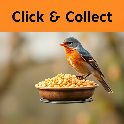 click-and-collect-bird-food-website-bann-640x480-11754305.jpeg