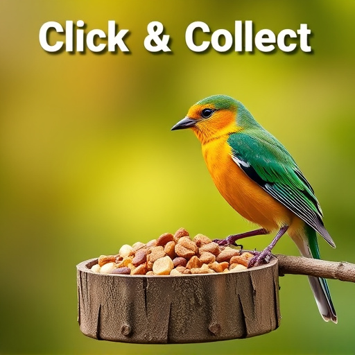 click-and-collect-bird-food-website-bann-640x480-4530286.jpeg