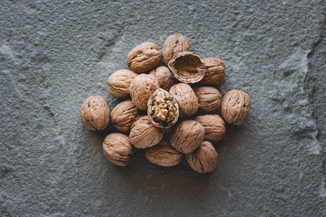 Close-up of bird seed texture UK
