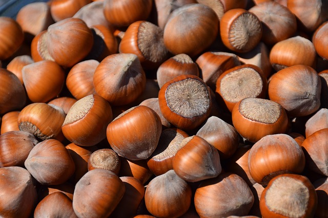 Close-up of bird seed texture UK