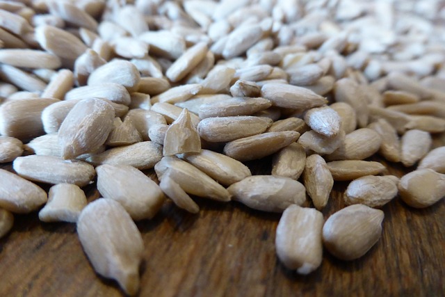 Close-up of sunflower and millet seeds