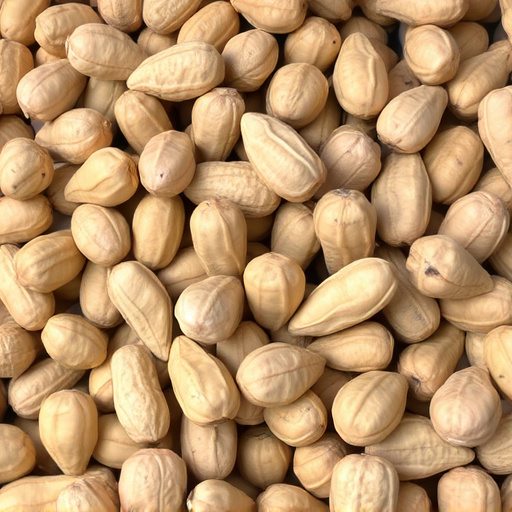 Fresh whole peanuts for wild birds